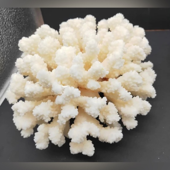 Coral Reef- Great Barrier Gold White Spikes Explosion Fireworks Starburst Dangle - Picture 3 of 8